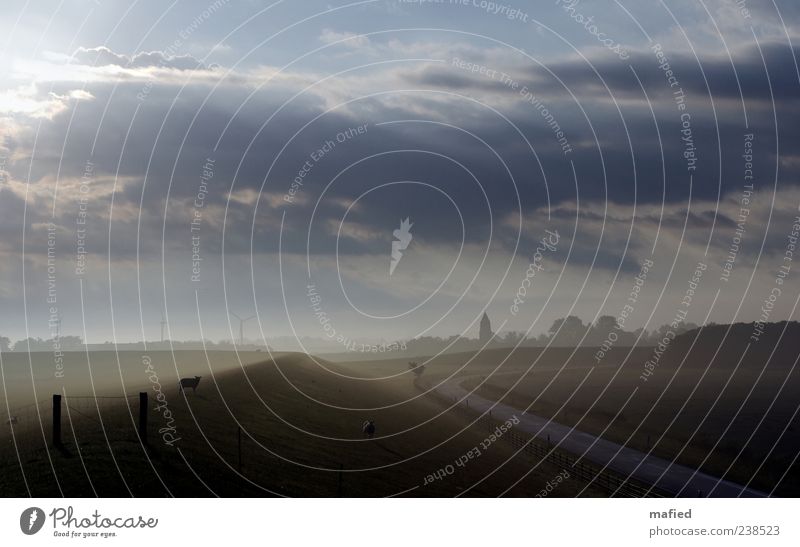 Sonntag Morgen auf'm Deich Ausflug Sommer Windkraftanlage Umwelt Natur Landschaft Himmel Wolken Sonne Sonnenlicht Schönes Wetter Küste Nordsee Dorf Kirche