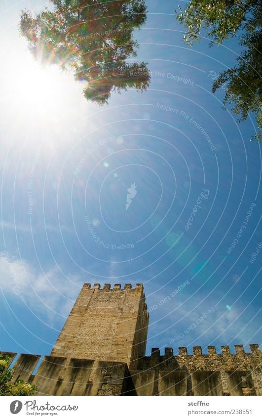 Sonnenschutz Sonnenlicht Schönes Wetter Baum Lissabon Portugal Altstadt Ruine Mauer Wand Sehenswürdigkeit Wärme Stabilität Schutz Defensive blenden HDR Farbfoto