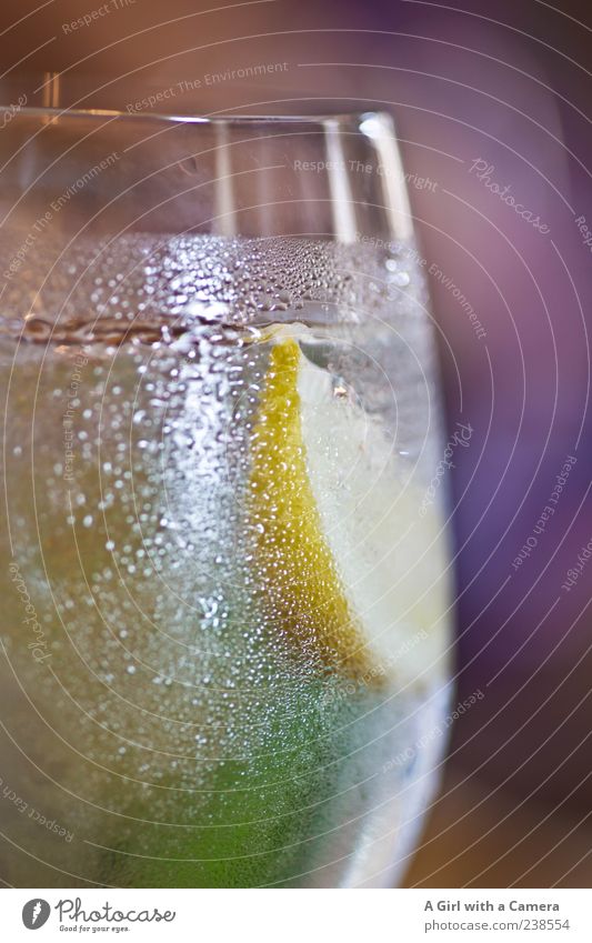 Gefrierschock Lebensmittel Ernährung Getränk trinken Erfrischungsgetränk Trinkwasser Limonade Sekt Prosecco Champagner Glas frieren kalt Zitrone verschönern