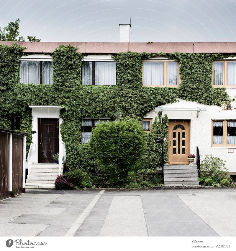 nachbarn Häusliches Leben Wohnung Haus Umwelt Sommer Sträucher Efeu Grünpflanze Dorf Gebäude Architektur authentisch eckig einfach Originalität retro trist