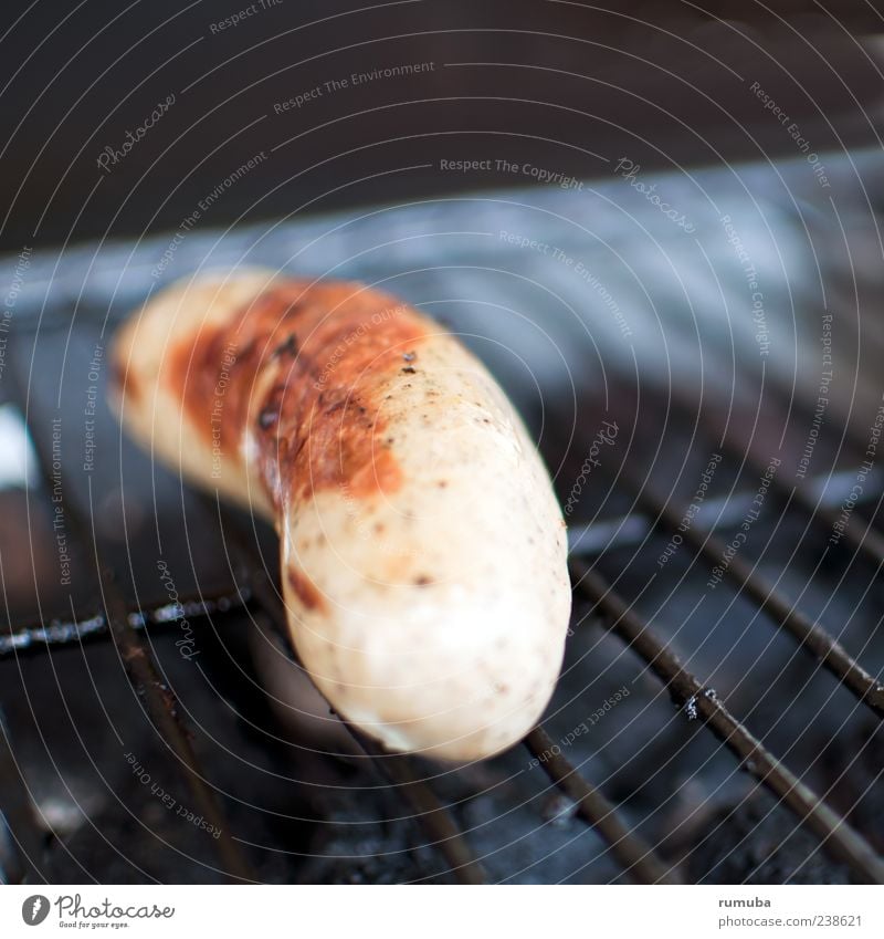 Alles hat ein Ende... Lebensmittel Wurstwaren Ernährung Mittagessen Grillen Würstchen Bratwurst Currywurst Farbfoto Außenaufnahme Menschenleer