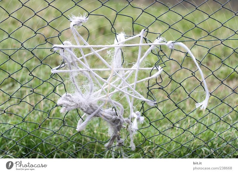 Flickwerk Natur Wiese sparen Armut kaputt grün Kreativität Zerstörung Zaun Zaunlücke Reparatur Problemlösung Schnur Loch Gehege Maschendrahtzaun Drahtzaun