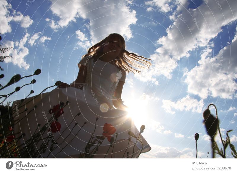 engel Mädchen Natur Wolken Sommer Schönes Wetter Pflanze Park Kleid langhaarig Freude Glück Lebensfreude Frühlingsgefühle Mohnfeld Charakter Tanzen drehen