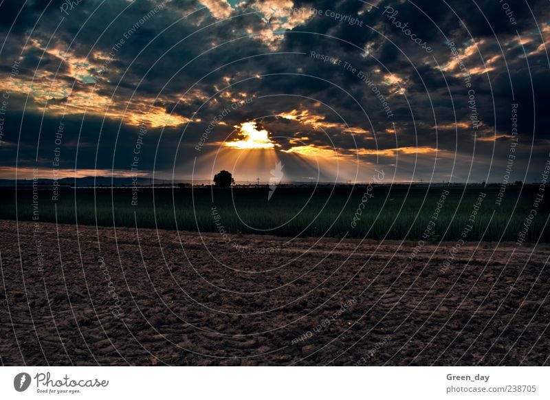 Sonne vs. Wolken Sonnenaufgang Sonnenuntergang Macht Dannstadt Wolkenspiel Farbfoto Abend Dämmerung Sonnenstrahlen Panorama (Aussicht) Landschaft Feld Wiese