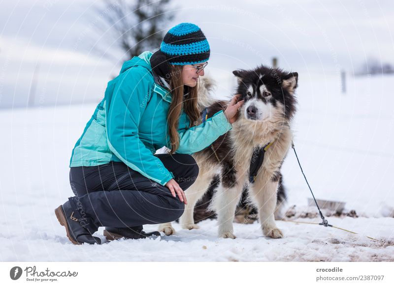 # 760 Husky Hund Junge Frau Streicheln Kuscheln Winter Schnee Schlittenhund Mütze Brille blau Schwache Tiefenschärfe alaskan malamut Nutztier Arbeitstier