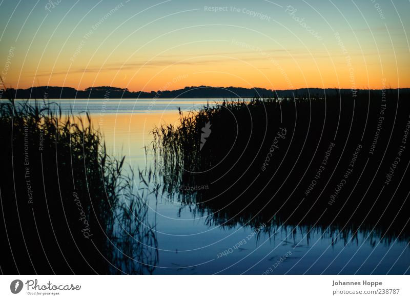 Dunkle Seite des Mondes Umwelt Natur Landschaft Wasser Himmel Nachthimmel Sonnenaufgang Sonnenuntergang Küste Seeufer Gefühle Stimmung Glück Tatkraft