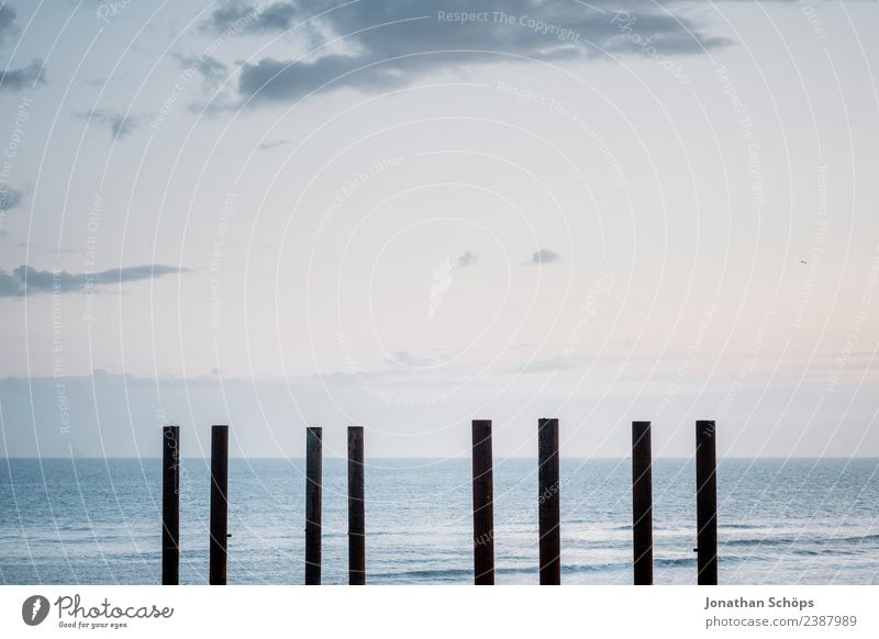 Pfähle am Strand in Brighton, England, Südküste Wasser Himmel Wellen Küste Sehenswürdigkeit Wahrzeichen Denkmal ästhetisch Holzpfahl Pfosten Meer minimalistisch