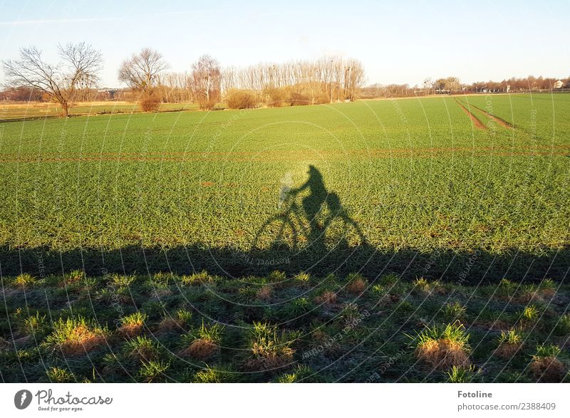 Fahrradsaison läuft Umwelt Natur Landschaft Pflanze Himmel Wolkenloser Himmel Frühling Baum Gras Sträucher Wiese Feld hell natürlich blau braun grün schwarz