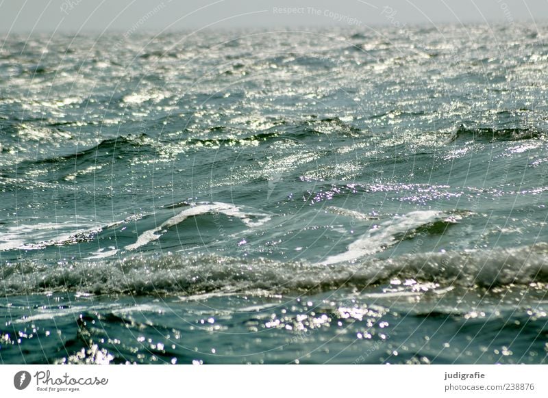 Ostsee Umwelt Natur Wasser Wellen Meer Bewegung Unendlichkeit nass natürlich wild Stimmung Farbfoto Außenaufnahme Menschenleer Tag Licht Reflexion & Spiegelung