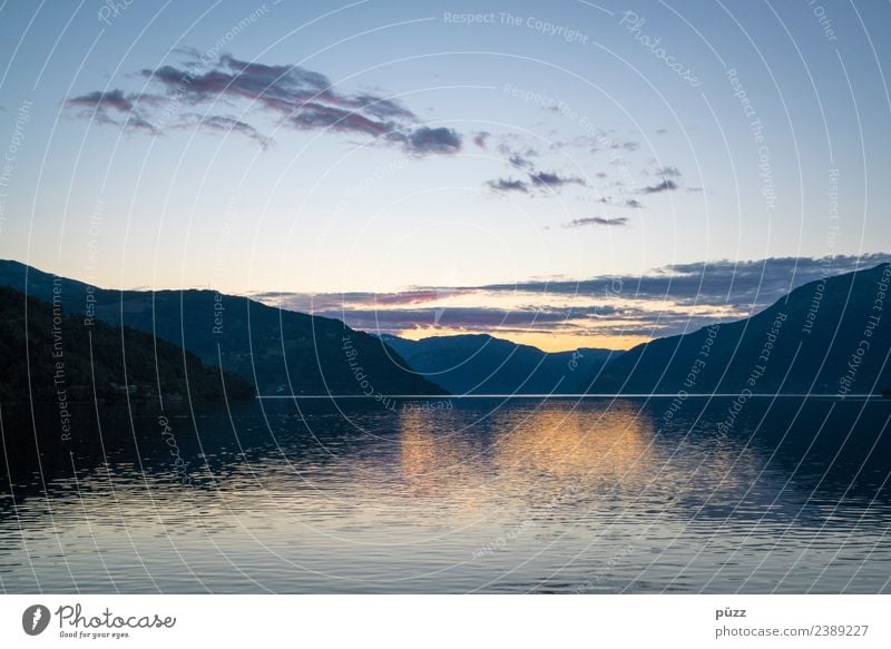 Fjord Angeln Ferien & Urlaub & Reisen Ausflug Abenteuer Ferne Freiheit Umwelt Natur Landschaft Urelemente Luft Wasser Himmel Klima Wetter Schönes Wetter Baum