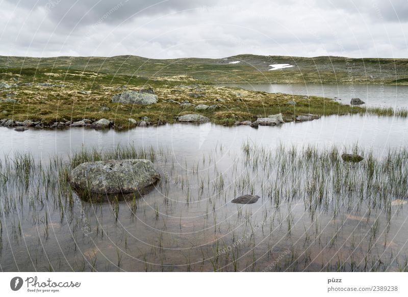 ||| Wasser ||| Sinnesorgane Erholung ruhig Meditation Angeln Ferien & Urlaub & Reisen Tourismus Ausflug Abenteuer Ferne Freiheit Umwelt Natur Landschaft Pflanze