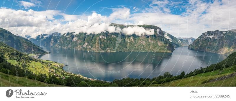 Fjord Erholung ruhig Ferien & Urlaub & Reisen Tourismus Ferne Kreuzfahrt Sommer Sommerurlaub Berge u. Gebirge Umwelt Natur Landschaft Wasser Himmel Wolken