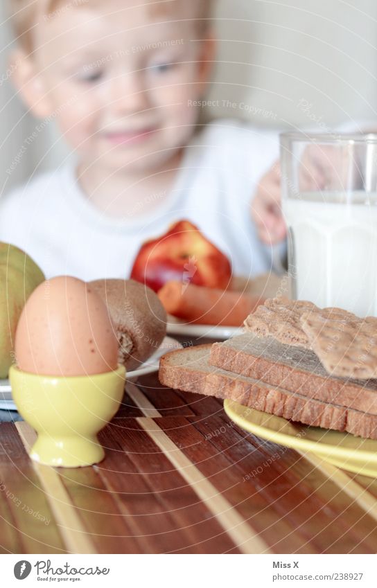 Guten Appentitti Lebensmittel Frucht Apfel Teigwaren Backwaren Brot Ernährung Essen Frühstück Büffet Brunch Getränk Milch Mensch Kind Kleinkind Kindheit Kopf 1