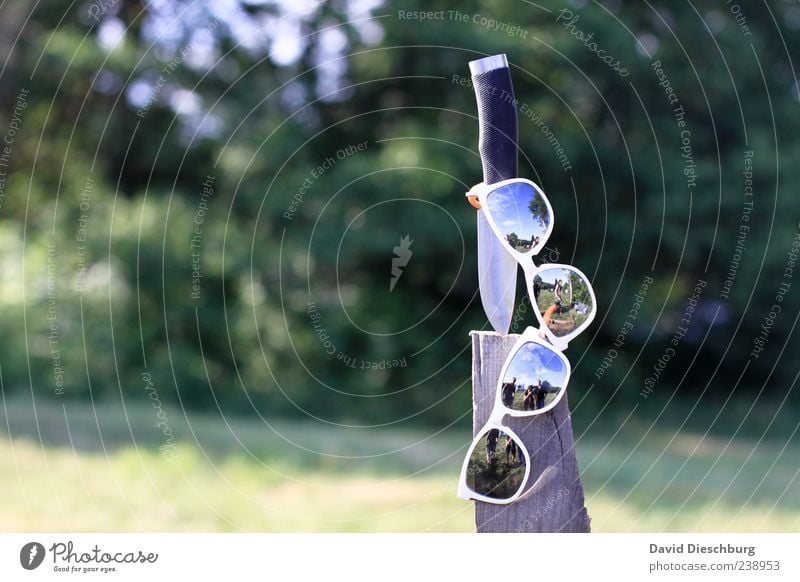 Messerschutz Sommer Sonnenbrille Holz schnitzen Farbfoto Außenaufnahme Tag Licht Kontrast Reflexion & Spiegelung Lichterscheinung Sonnenlicht Unschärfe