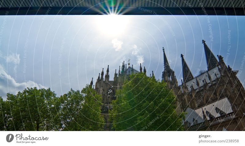 Mit Aussicht auf den Dom Kultur Himmel Sommer Schönes Wetter Köln Kölner Dom Stadtzentrum Kirche Turm Bauwerk Gebäude Architektur Mauer Wand Fassade Dach