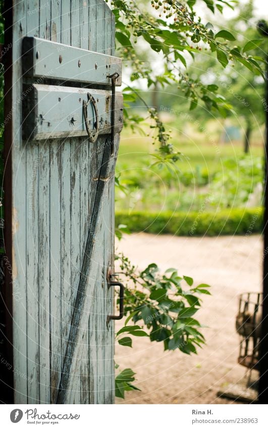 Offene Stalltür - Blick in den Bauerngarten Sommer Schönes Wetter Tür authentisch ländlich Landleben Bauernhof Garten Holztür Farbfoto Außenaufnahme