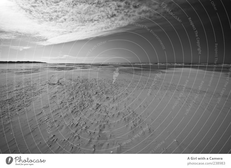 Spiekeroog l relentlessly chasing clouds Strand Meer Wellen Natur Landschaft Himmel Wolken Horizont Küste Nordsee authentisch gigantisch Unendlichkeit lang