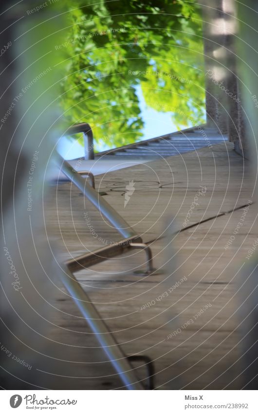 Spiegel Wasser Mauer Wand Treppe nass Treppengeländer Pfütze Baum Wasserspiegelung Farbfoto mehrfarbig Außenaufnahme abstrakt Menschenleer