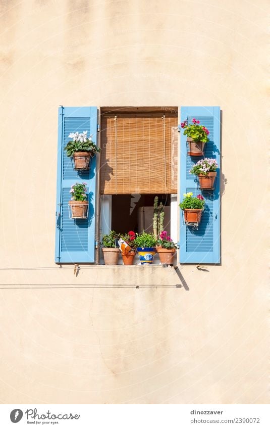 Fenster mit blauen Rollläden und Blumen Stil schön Ferien & Urlaub & Reisen Sommer Haus Dekoration & Verzierung Kultur Gebäude Architektur Fassade Stein Holz