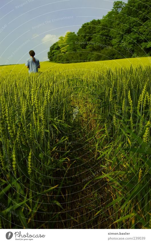 Wohin.. ?! maskulin 1 Mensch Umwelt Natur Himmel Sommer Schönes Wetter Nutzpflanze Feld T-Shirt langhaarig Einsamkeit Leben Farbfoto Außenaufnahme Tag