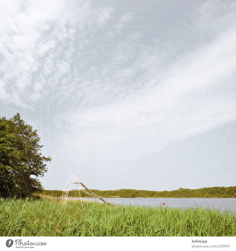 auf die rutsch Freizeit & Hobby Sportstätten Schwimmbad nachhaltig Natur See Wasser Wasserrutsche Baum Schilfrohr Badeort Freibad Sommer Rutsche Spielplatz