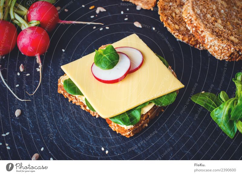 Käsebrot mit Radieschen Lebensmittel Milcherzeugnisse Gemüse Teigwaren Backwaren Brot Ernährung Frühstück Abendessen Bioprodukte Vegetarische Ernährung frisch