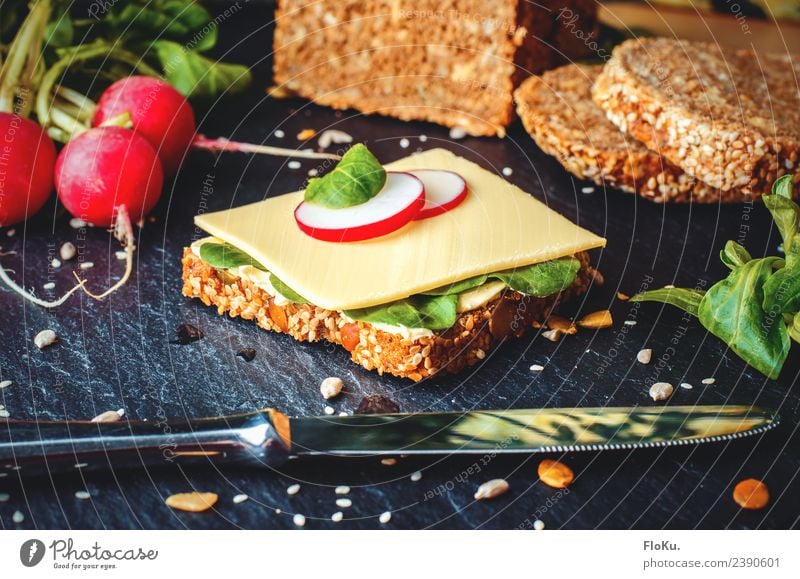 Käsebrot, ist ein gutes Brot Lebensmittel Milcherzeugnisse Gemüse Salat Salatbeilage Getreide Teigwaren Backwaren Ernährung Essen Frühstück Abendessen