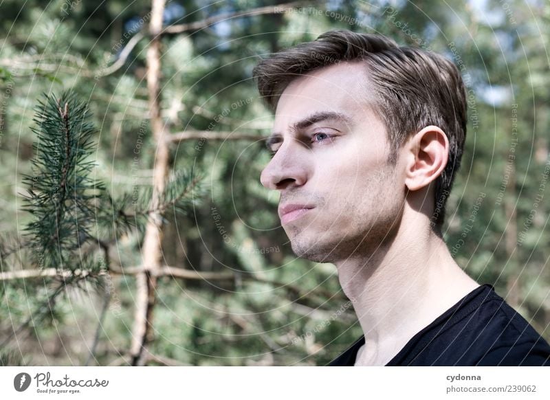 Ruhe Lifestyle elegant Stil schön Wohlgefühl Erholung ruhig Ausflug Freiheit Mensch Junger Mann Jugendliche Gesicht 18-30 Jahre Erwachsene Umwelt Natur Baum