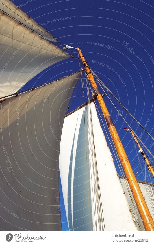 Segel im Wind Segeln Wasserfahrzeug Fahne Ferne Holz Schifffahrt Blauer Himmel Strommast Traditionssegler alt Ewer Petrine Gaffel Schönes Wetter frei Ostsee