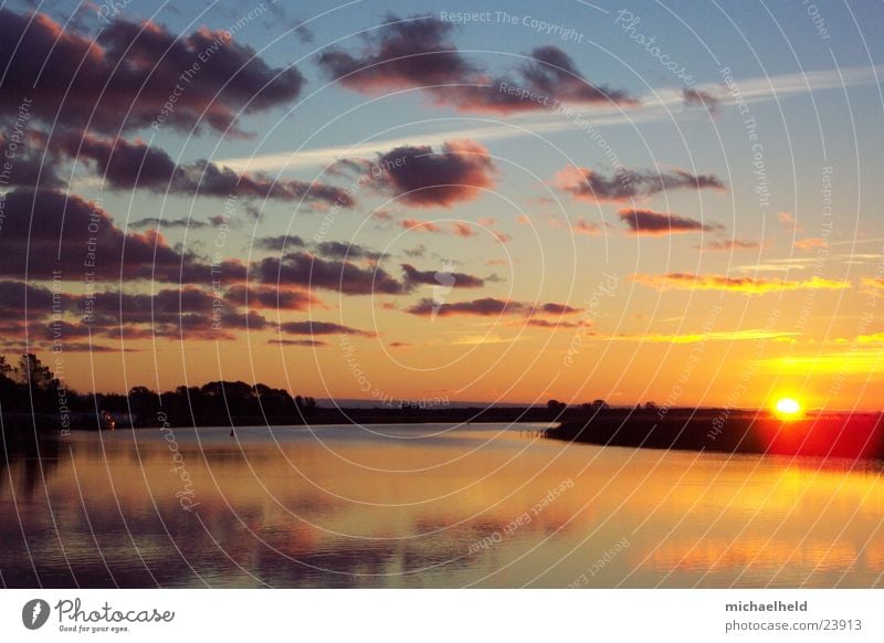 Sonnenaufgang am Meer Schilfrohr Wolken Zingst Vorpommersche Boddenlandschaft Umweltschutz Vogel Glätte Europa Wasser Sonnuntergang Natur Ostsee Himmel