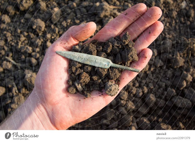 Pfeilspitze (skythisch) in der Hand eines Archäologen Feld nah braun rosa türkis Speer Wurfspieß Spitze Finger Archäologie Archäologischer Park