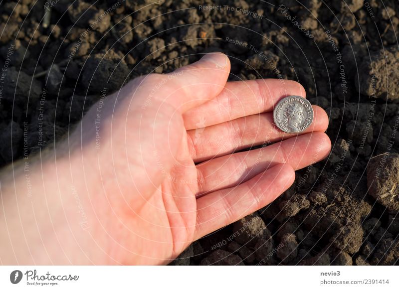 Römische Silbermünze (Denar) in der Hand eines Archäologen Arbeit & Erwerbstätigkeit Beruf Kapitalwirtschaft Business Kunst Feld Geld rund braun silber Dinar