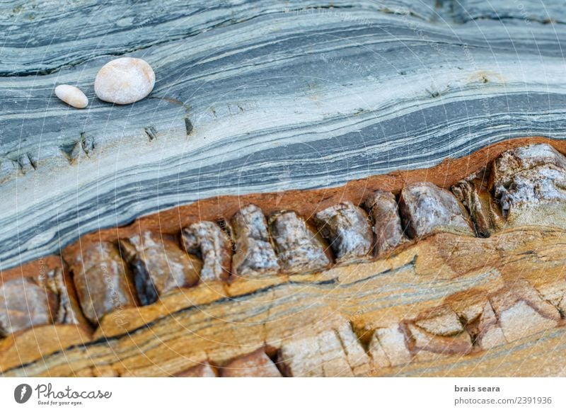 Hintergrund aus Stein und Kieselsteinen. Design Erholung Schwimmbad Strand Meer Dekoration & Verzierung Tapete Wissenschaften Umwelt Natur Landschaft Erde Sand