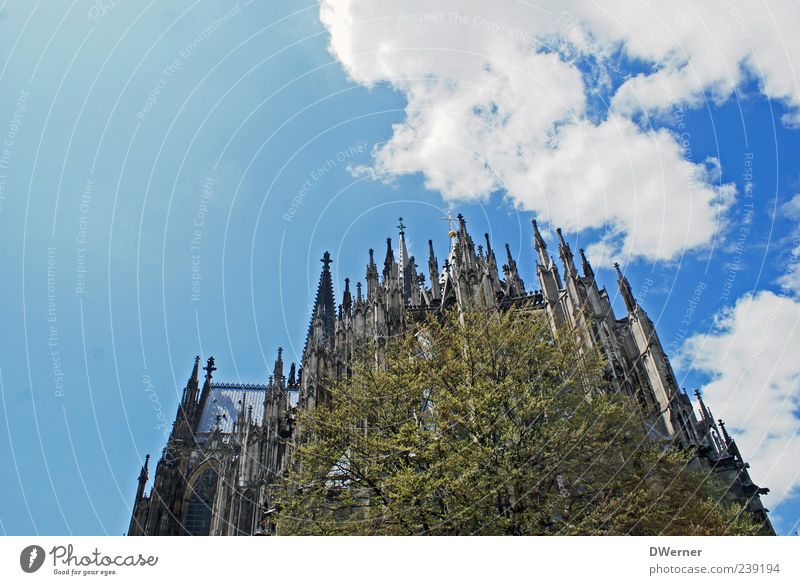 Usertreffen Köln_18.06.2011 Tourismus Sightseeing Umwelt Natur Himmel Wolken Schönes Wetter Baum Kölner Dom Kirche Turm Bauwerk Gebäude Architektur Fassade