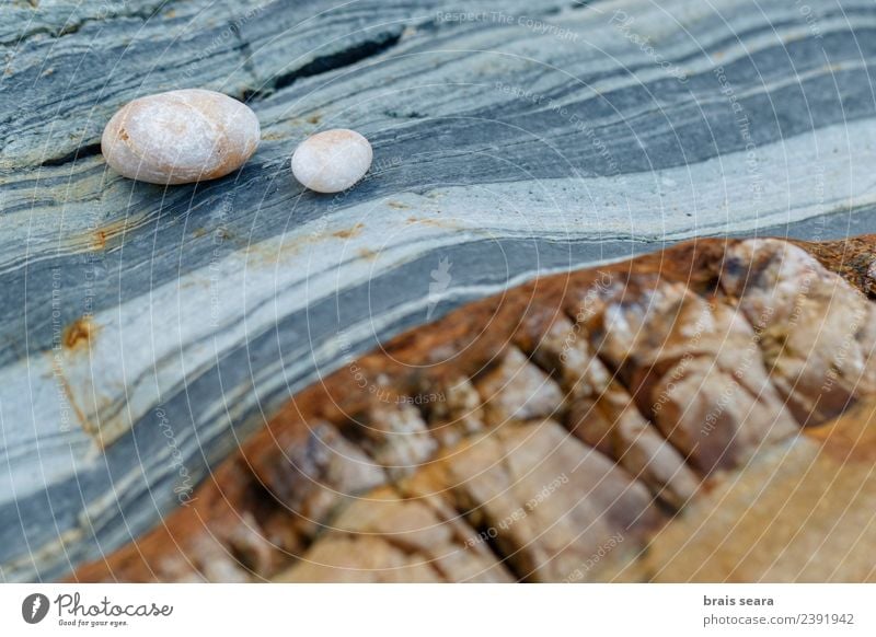 Hintergrund aus Stein und Kieselsteinen. Design Erholung Schwimmbad Strand Meer Dekoration & Verzierung Tapete Wissenschaften Umwelt Natur Landschaft Urelemente