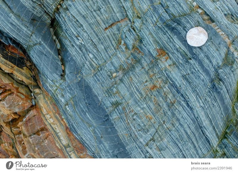 Hintergrund aus Stein und Kieselsteinen. Design Erholung Schwimmbad Strand Meer Dekoration & Verzierung Tapete Wissenschaften Umwelt Natur Landschaft Erde Sand