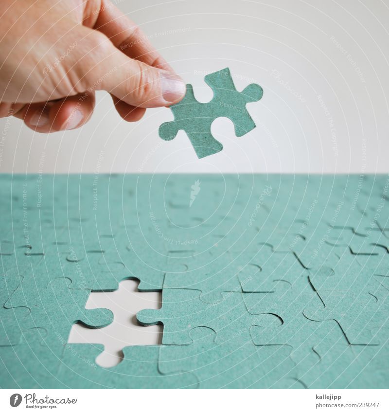 drag'n'drop Freizeit & Hobby Spielen Mensch maskulin Mann Erwachsene Hand Finger 1 berühren einsetzen Puzzle finden planen Erfolg Erfolgsaussicht fehlen perfekt