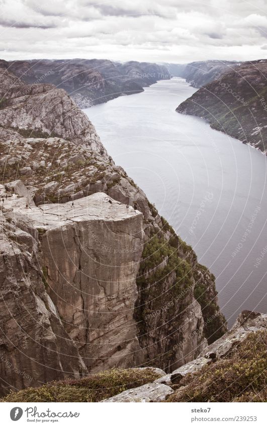 Ausblick Mensch Wolken Berge u. Gebirge Küste Fjord hoch Ferne Norwegen Lysefjord steil Klippe Am Rand Ferien & Urlaub & Reisen Gedeckte Farben Außenaufnahme