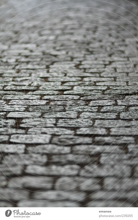 Schlossbergweg Verkehrswege Straße Wege & Pfade Stein gehen Pflastersteine Quadrat alt Unschärfe Linie versetzt Außenaufnahme Nahaufnahme Detailaufnahme