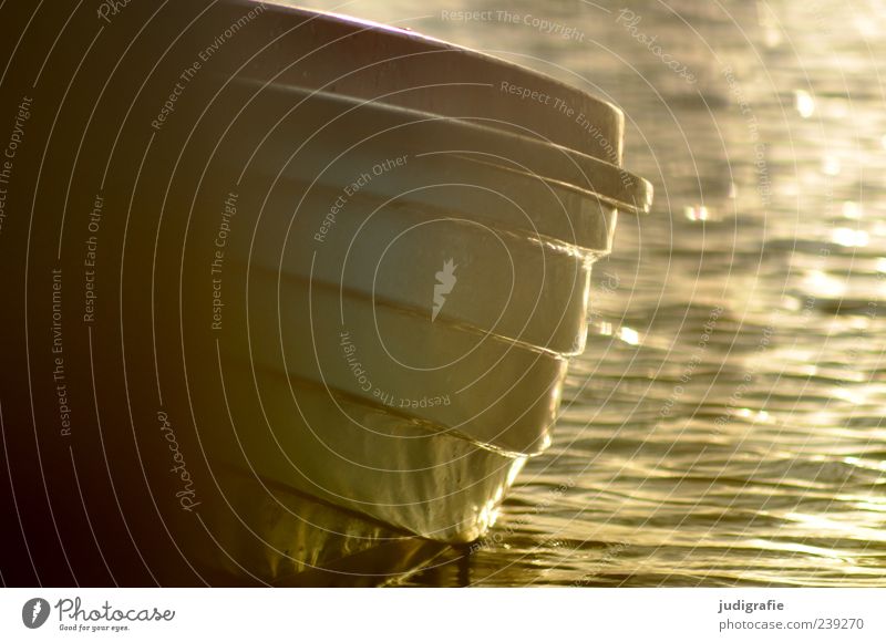 Hafen Wasser Sonnenlicht Ostsee See Verkehr Bootsfahrt Fischerboot Ruderboot Wasserfahrzeug Stimmung ruhig stagnierend Farbfoto Außenaufnahme Licht