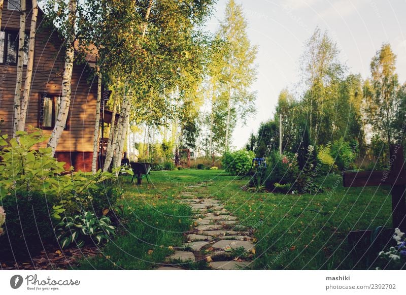 Landgartenansicht mit Holzhaus Stil schön Freizeit & Hobby Sommer Sonne Haus Garten Natur Pflanze Baum Blume Blatt Wege & Pfade Wachstum klein natürlich gelb