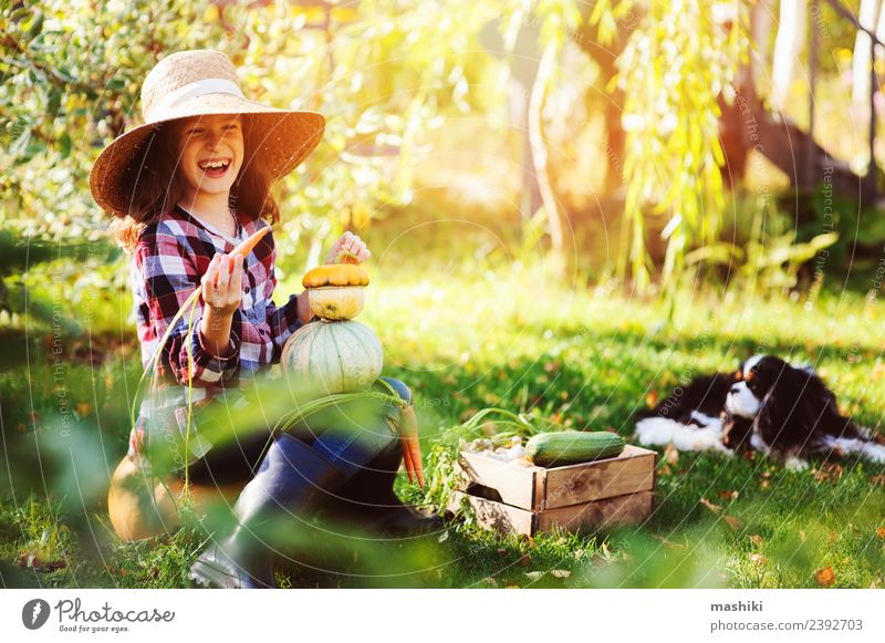 fröhliches Kind Mädchen spielt im Herbstgarten Gemüse Lifestyle Familie & Verwandtschaft Natur Landschaft Hemd Hut Hund Wachstum frisch klein lustig natürlich