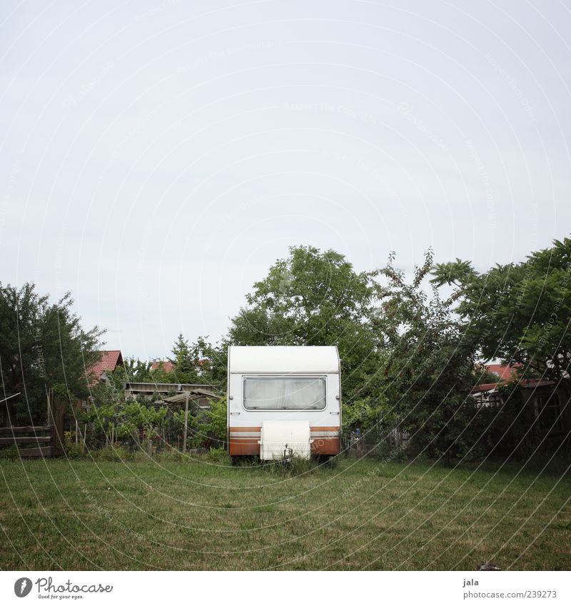 ruhestand Natur Pflanze Himmel Baum Gras Sträucher Grünpflanze Garten Wiese Wohnwagen stehen trist parken Farbfoto Gedeckte Farben Außenaufnahme Menschenleer