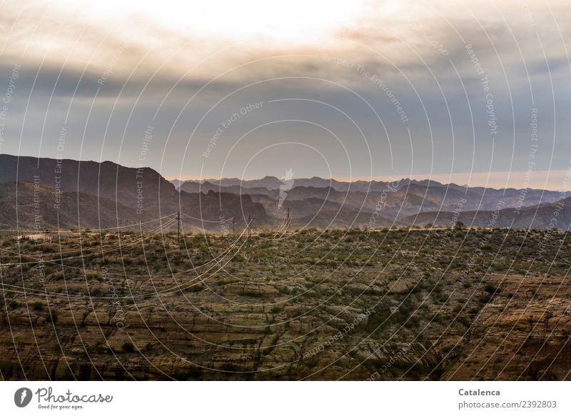 Verbindungen; Stromleitungen durch Wüstenlandschaft Tourismus Ferne wandern Technik & Technologie Energiewirtschaft Landschaft Erde Wolken Winter Dürre