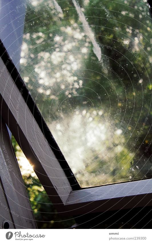 Lichtluke Fenster authentisch dreckig Glasscheibe offen Fensterscheibe Farbfoto Gedeckte Farben Nahaufnahme Menschenleer Morgen Schatten Kontrast Sonnenlicht