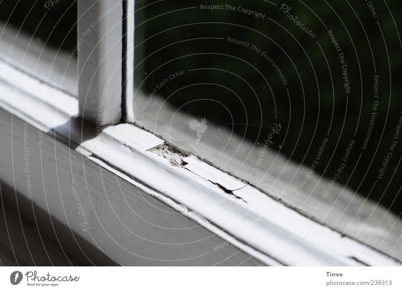 Fenster Haus alt grau schwarz weiß Anstrich Fensterrahmen Gebäudeteil Sprossenfenster abblättern verfallen Innenaufnahme Menschenleer Textfreiraum rechts Licht