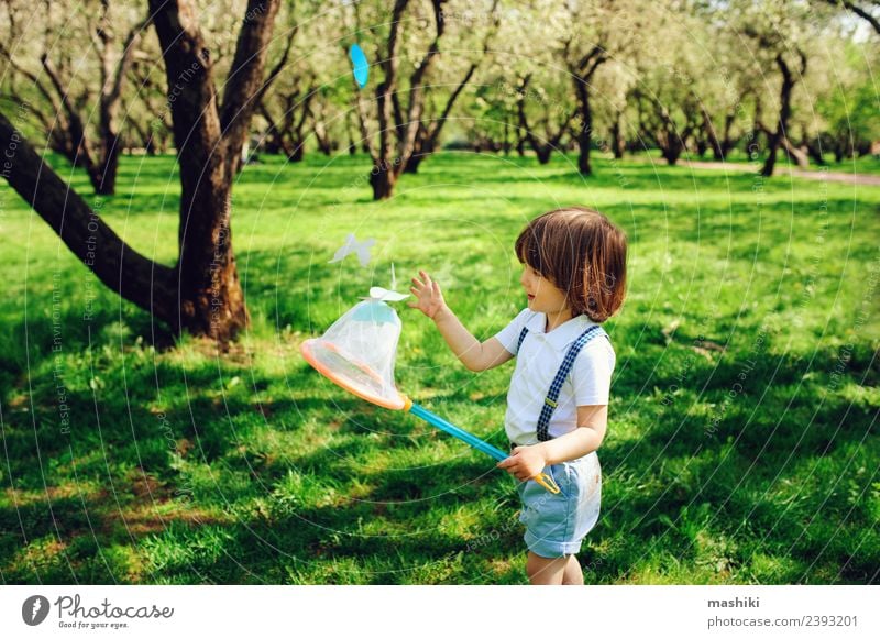 glücklich Kind Junge Junge fangen Schmetterlinge Freude Spielen Ferien & Urlaub & Reisen Camping Sommer Garten Werkzeug Kleinkind Kindheit Natur Baum Park Mode