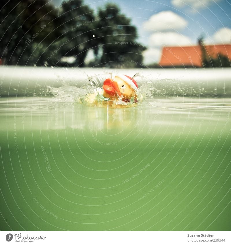 SPLASH! Freizeit & Hobby Spielen Sommer Schwimmen & Baden Badeente Spielzeug Wasser Schwimmbad Wolken Tropfen spontan Wasseroberfläche Farbfoto mehrfarbig