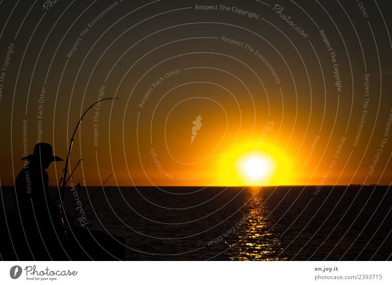 Abendessen Freizeit & Hobby Angeln Ferien & Urlaub & Reisen Sommer Sommerurlaub Mann Erwachsene 1 Mensch Landschaft Himmel Horizont Sonnenaufgang