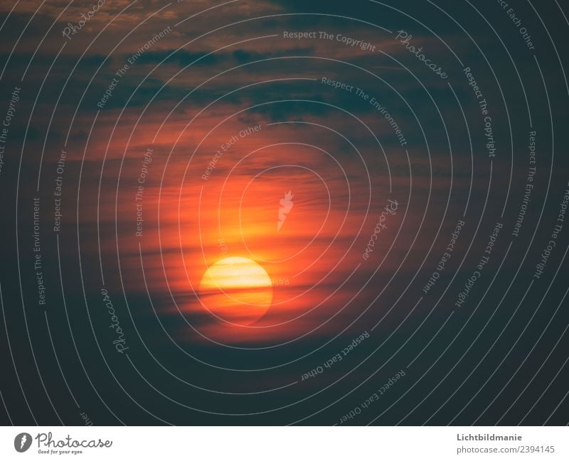 Abendsonne Umwelt Urelemente Feuer Himmel Wolken Horizont Sonne Sonnenaufgang Sonnenuntergang Sonnenlicht Sommer Klima Klimawandel Wetter Schönes Wetter Wärme